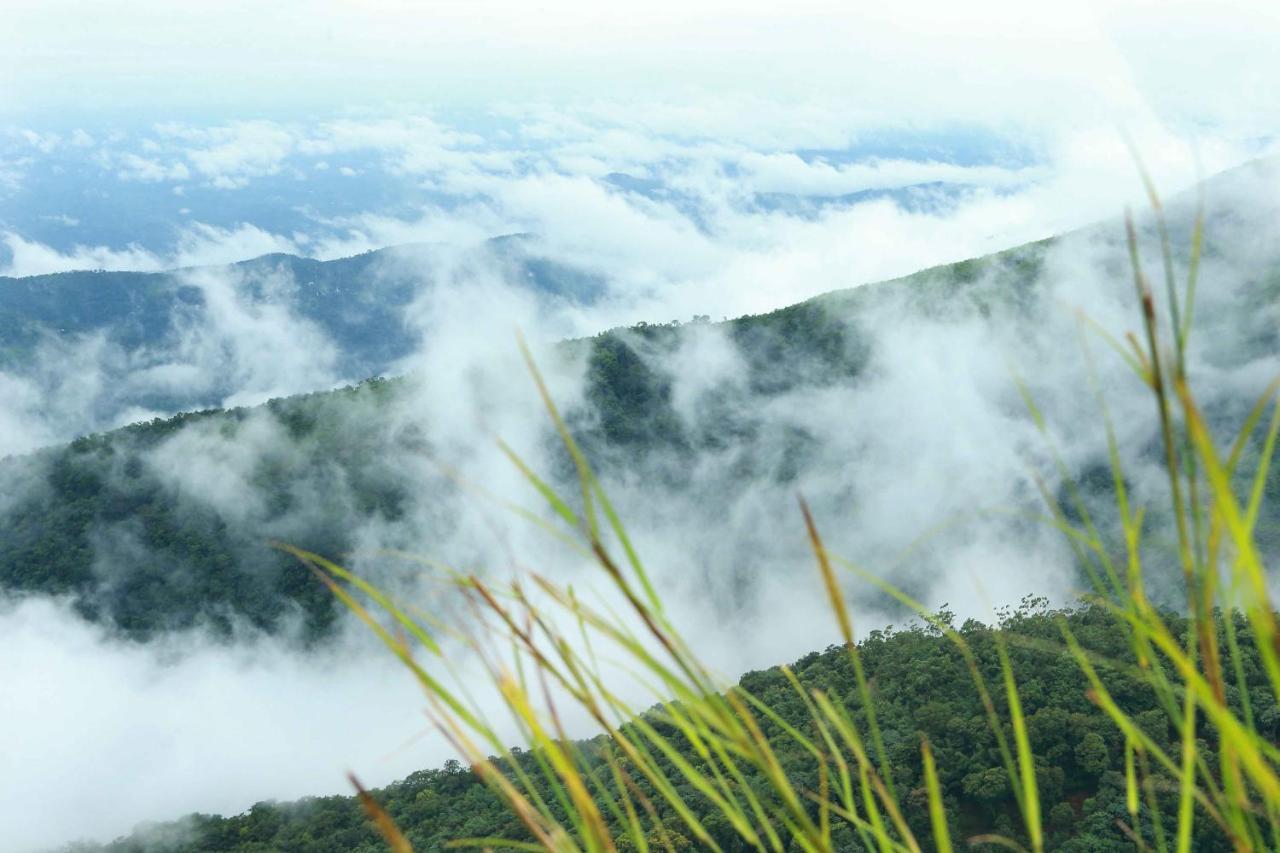 Misty Mountain Experience By Perfect Stays Pīrmed 外观 照片