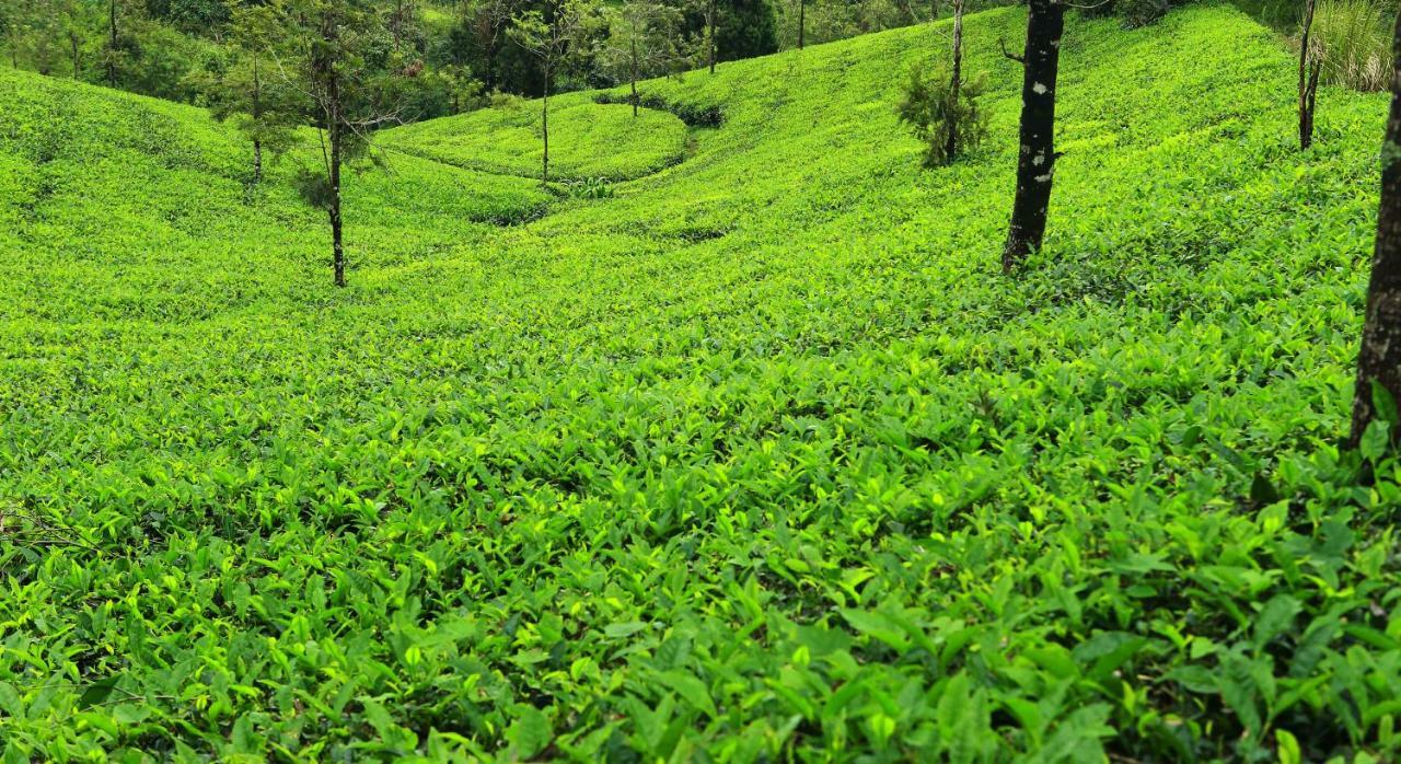 Misty Mountain Experience By Perfect Stays Pīrmed 外观 照片